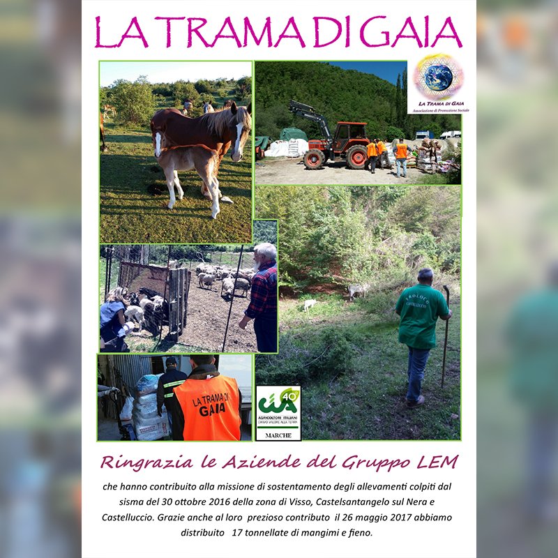 Il Gruppo LEM e la TRAMA DI GAIA in collaborazione per gli allevamenti colpiti dal sisma